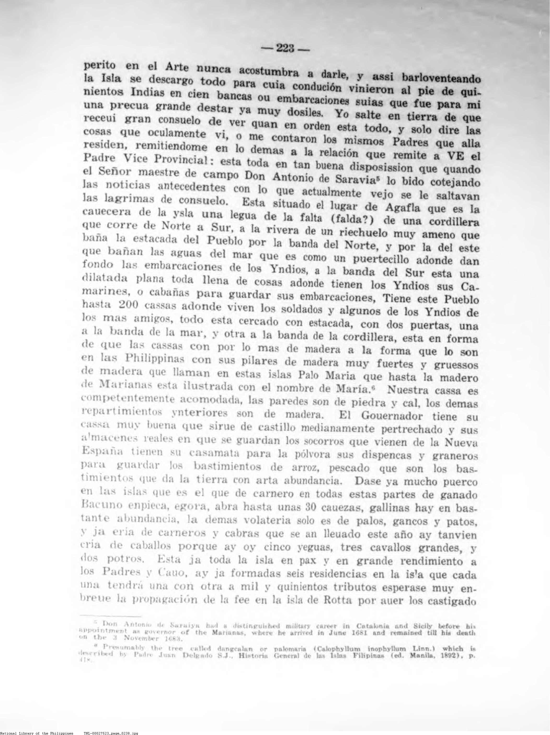 238 
