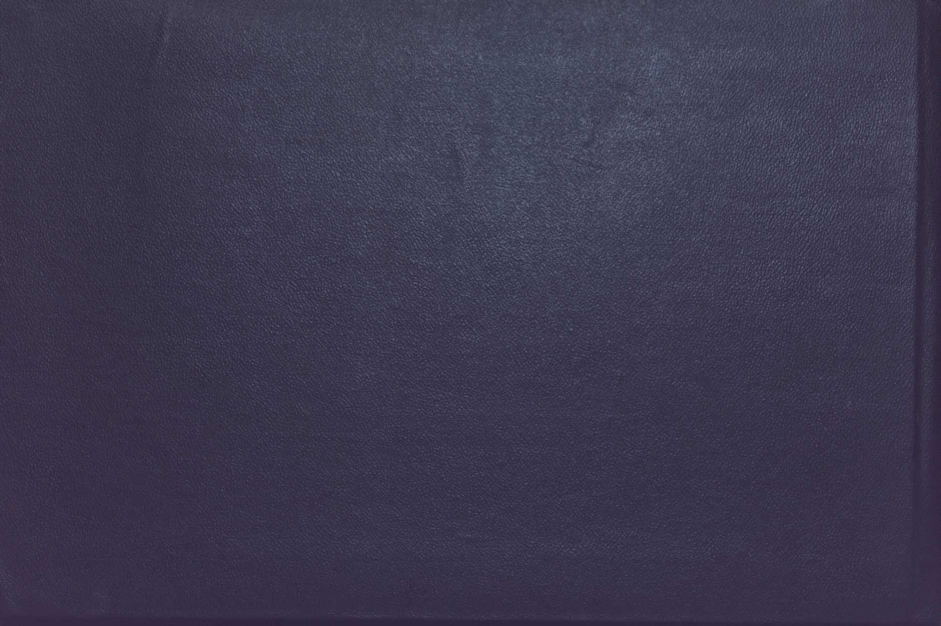 53 
