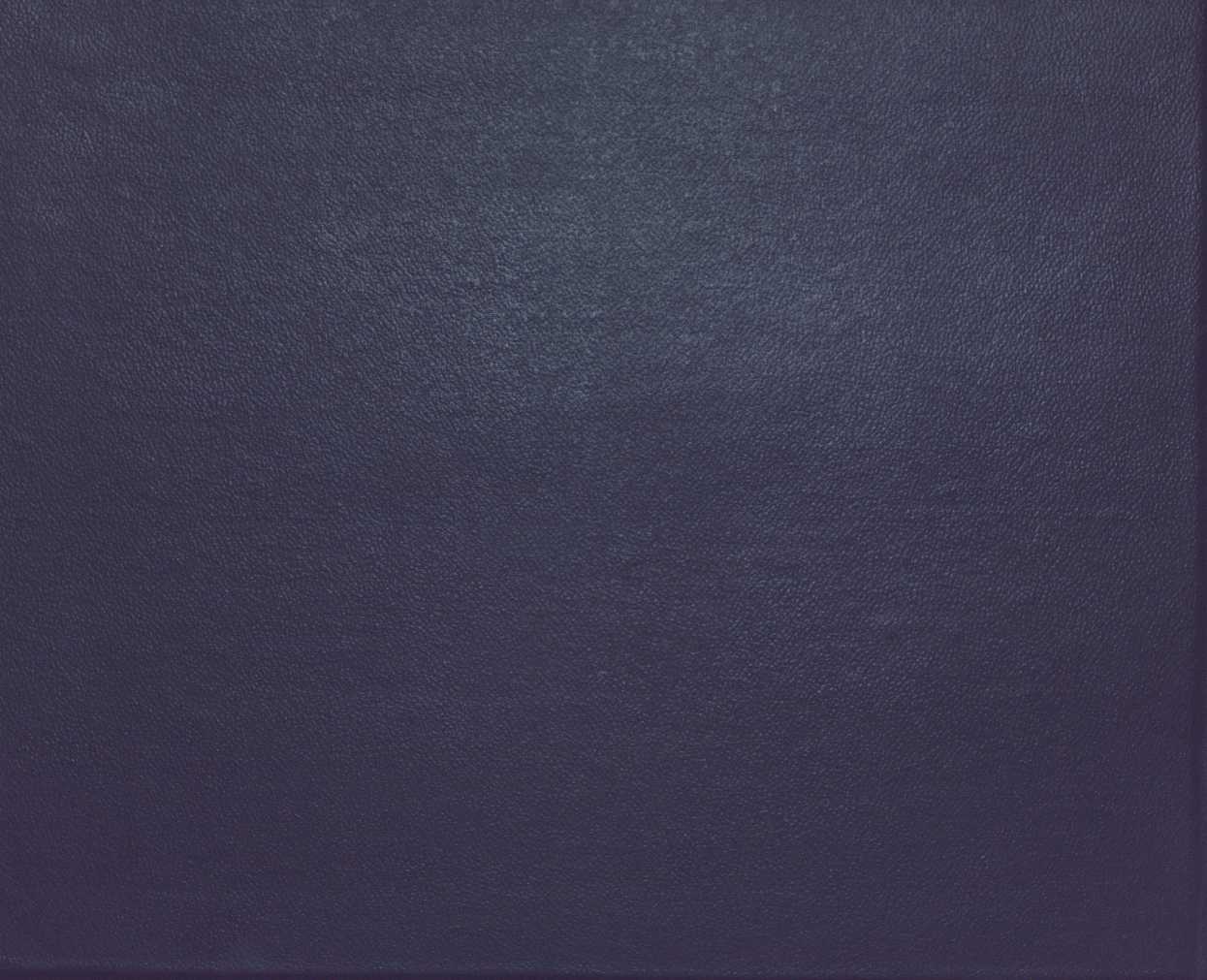 53 
