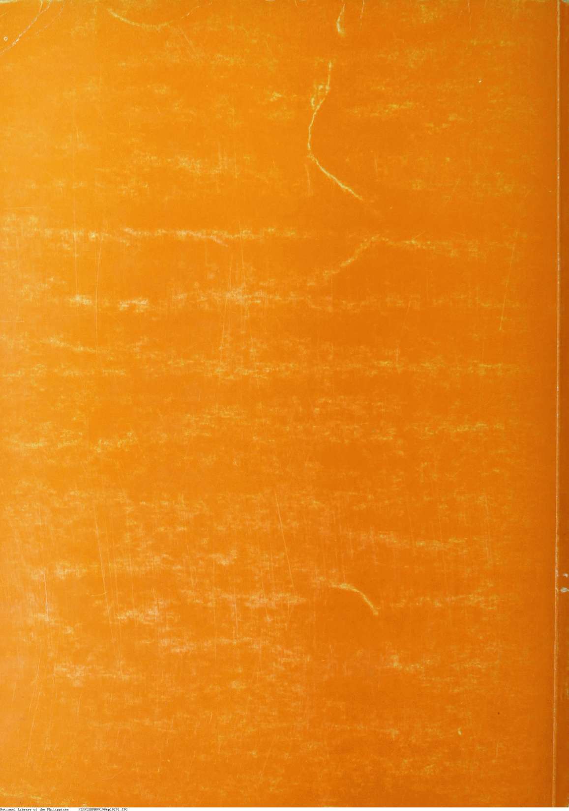 291 
