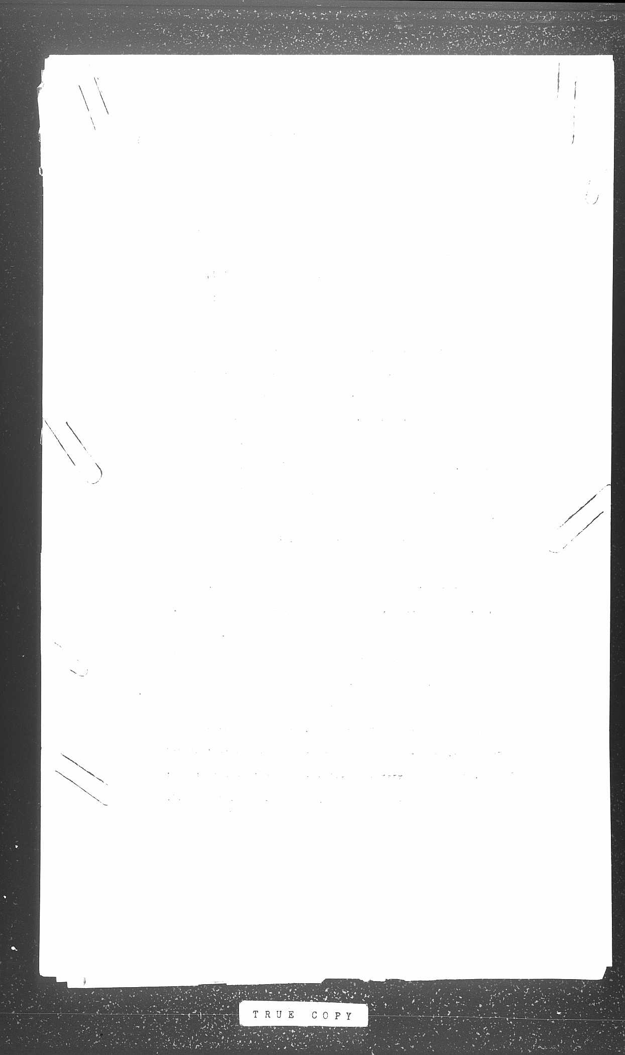 516 

