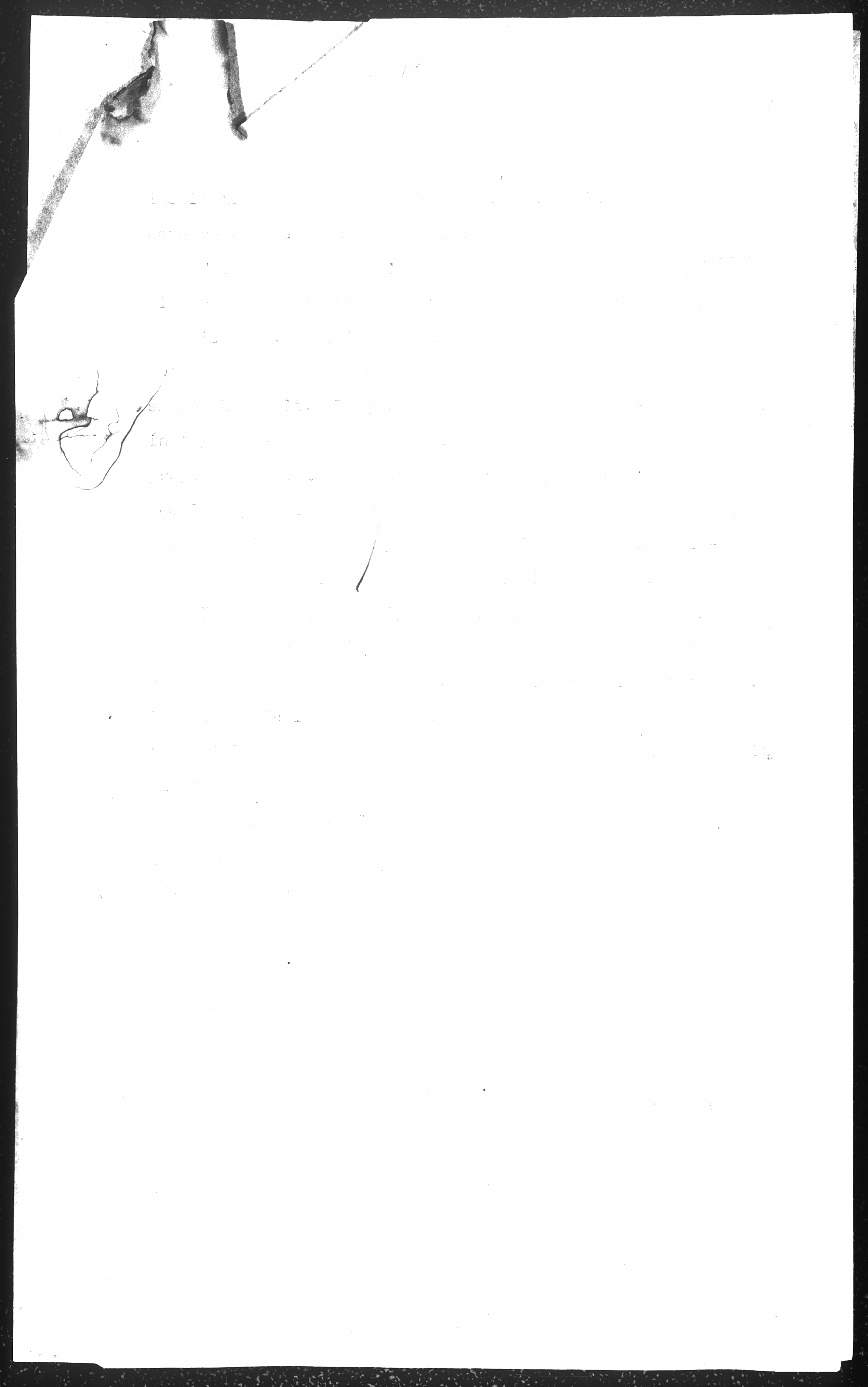 91 
