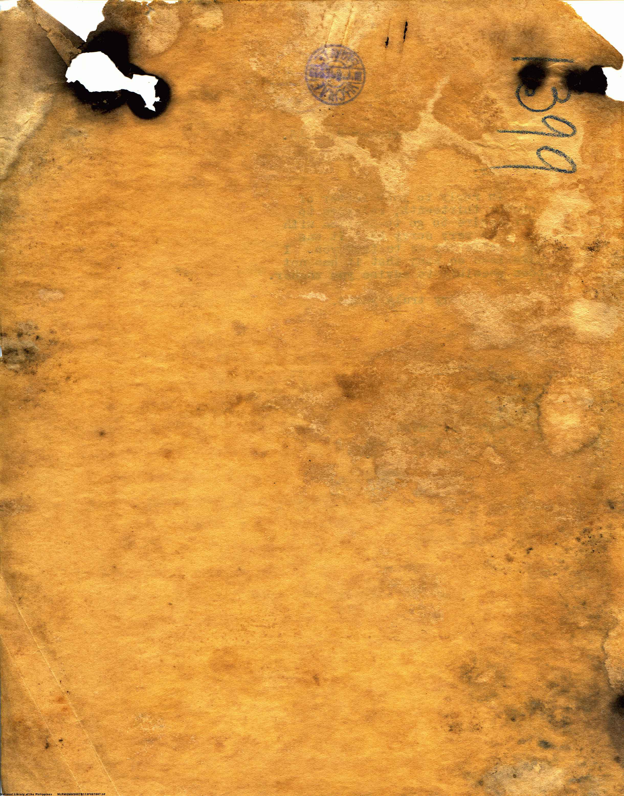 131 
