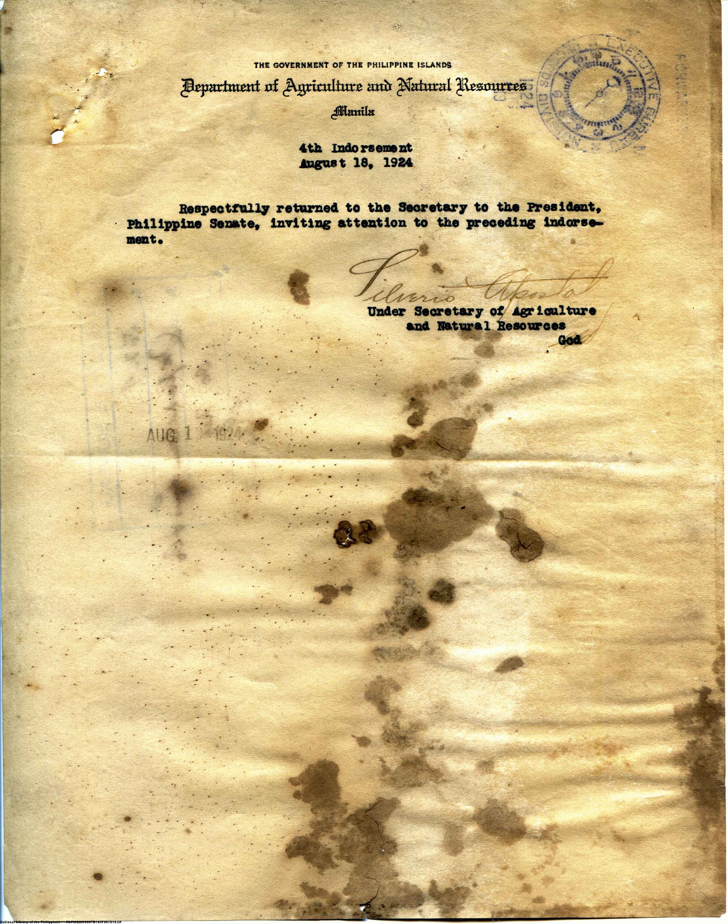 19 
