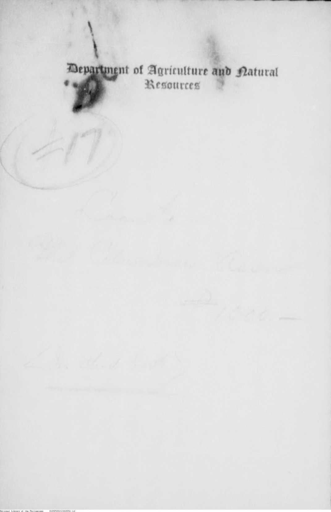 54 
